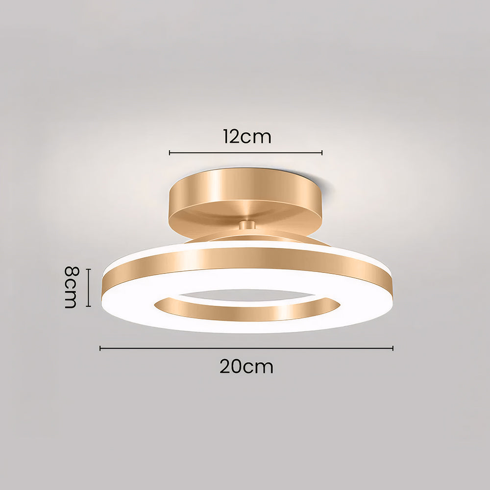Elegant Modern Flush Mount Ceiling Light - Gold Iron LED Fixture Lighting