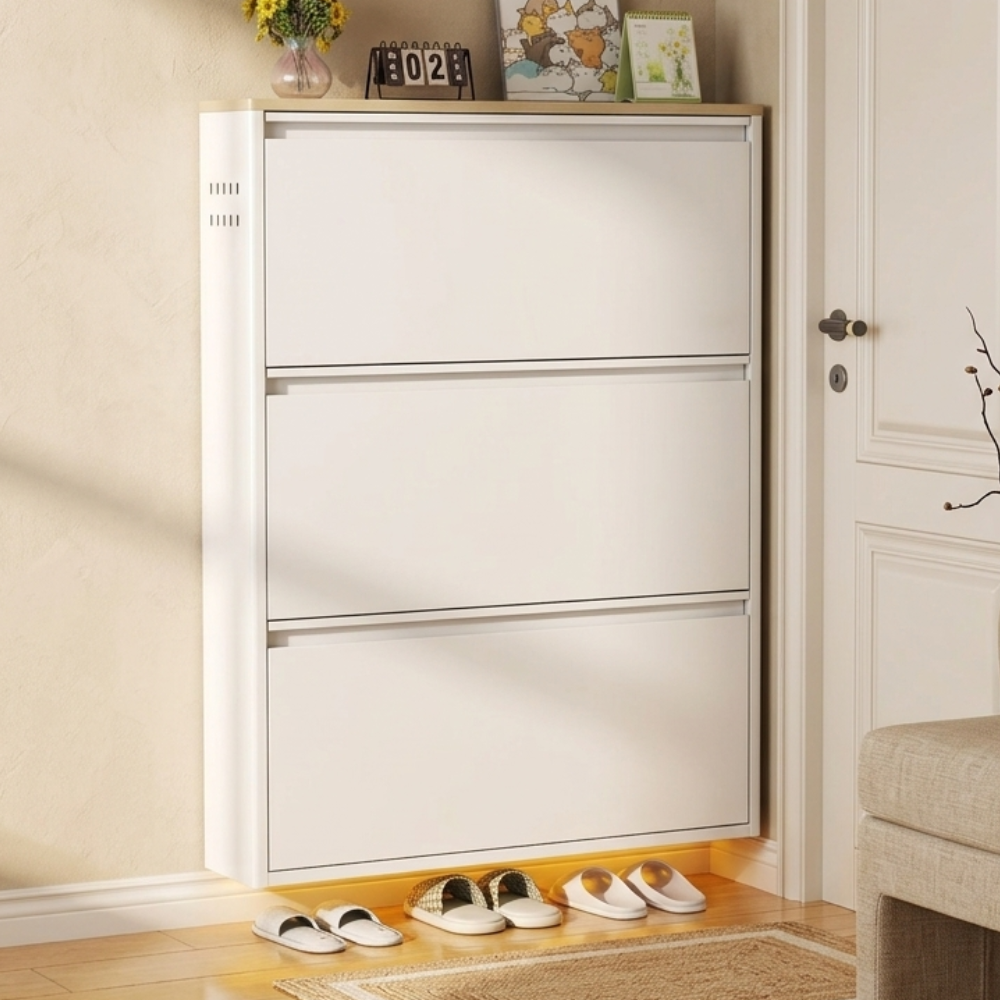 Modern Minimalist Shoe Storage Cabinet - Slim Steel Organizer with Drawers Shoe Storage