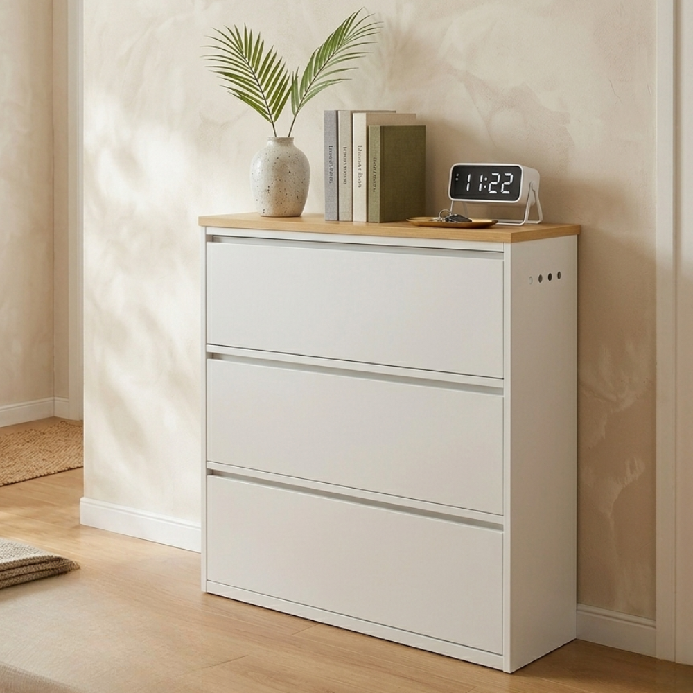Modern Minimalist Shoe Storage Cabinet - Slim Steel Organizer with Drawers Shoe Storage