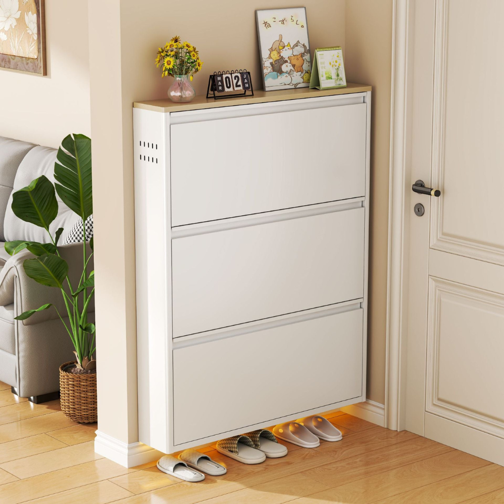 Modern Minimalist Shoe Storage Cabinet - Slim Steel Organizer with Drawers Shoe Storage