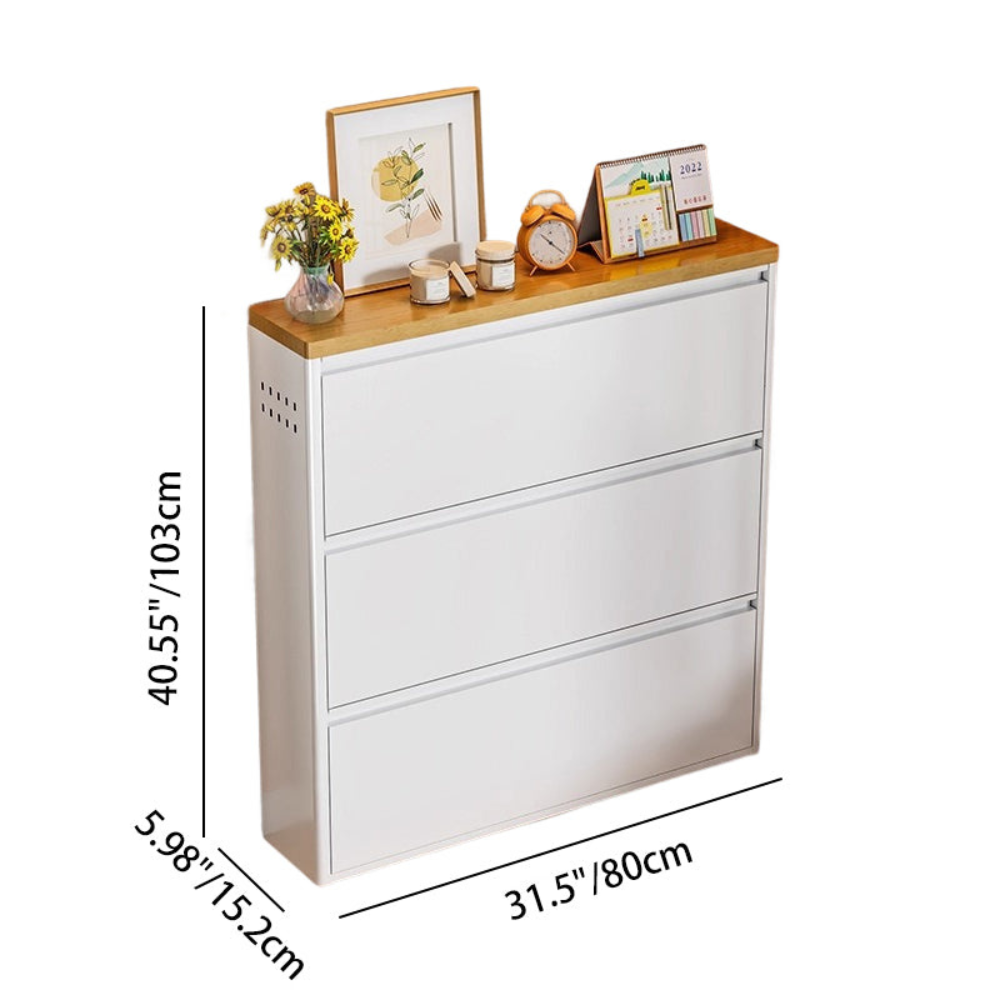 Modern Minimalist Shoe Storage Cabinet - Slim Steel Organizer with Drawers Shoe Storage