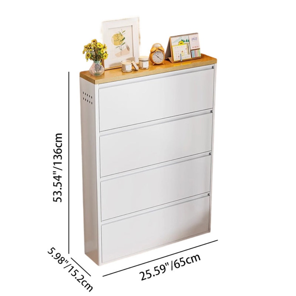 Modern Minimalist Shoe Storage Cabinet - Slim Steel Organizer with Drawers Shoe Storage