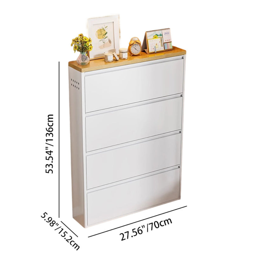Modern Minimalist Shoe Storage Cabinet - Slim Steel Organizer with Drawers Shoe Storage