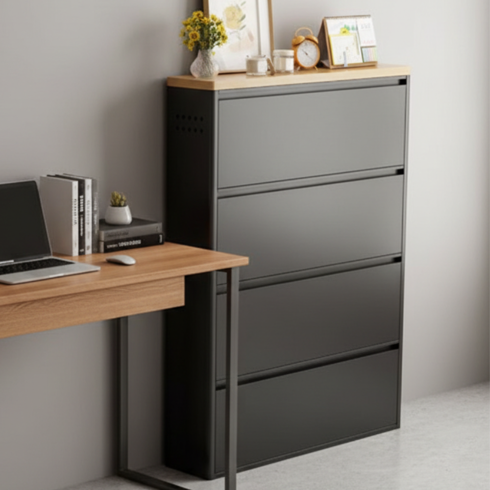 Modern Minimalist Shoe Storage Cabinet - Slim Steel Organizer with Drawers Shoe Storage
