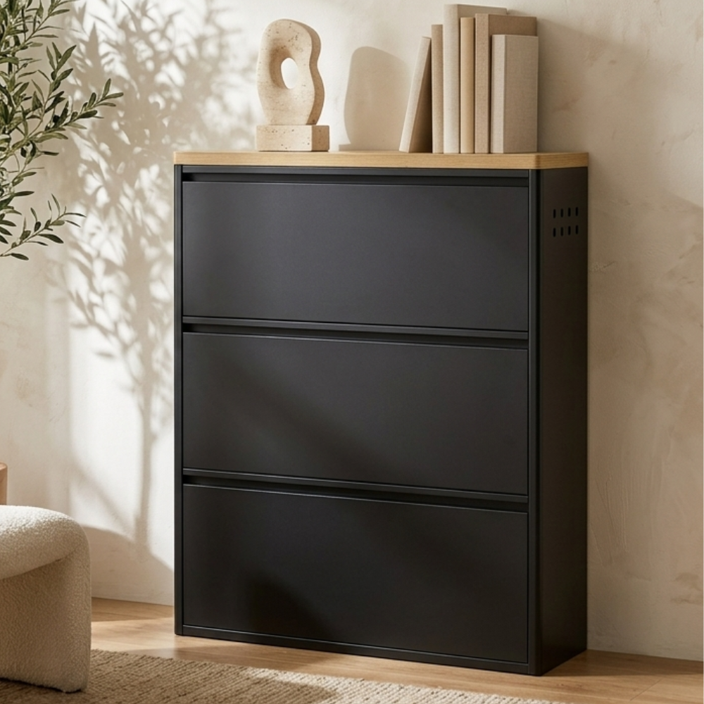 Modern Minimalist Shoe Storage Cabinet - Slim Steel Organizer with Drawers Shoe Storage