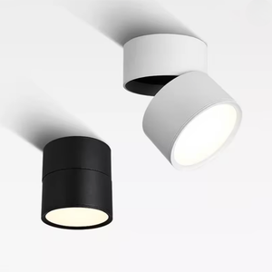 Sleek Adjustable LED Spotlight Ceiling Light for Modern Interiors Spotlights