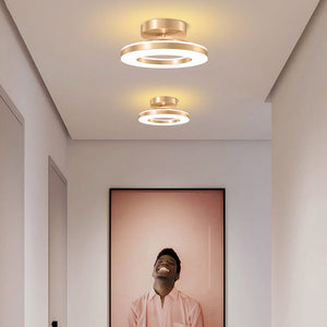 Elegant Modern Flush Mount Ceiling Light - Gold Iron LED Fixture Lighting