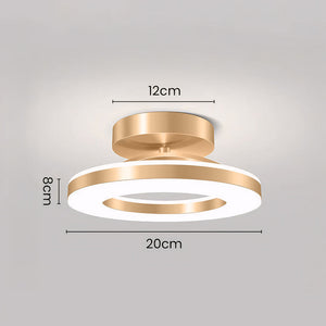 Elegant Modern Flush Mount Ceiling Light - Gold Iron LED Fixture Lighting