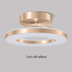 Elegant Modern Flush Mount Ceiling Light - Gold Iron LED Fixture Lighting