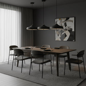 Danika Disc Pendant Light