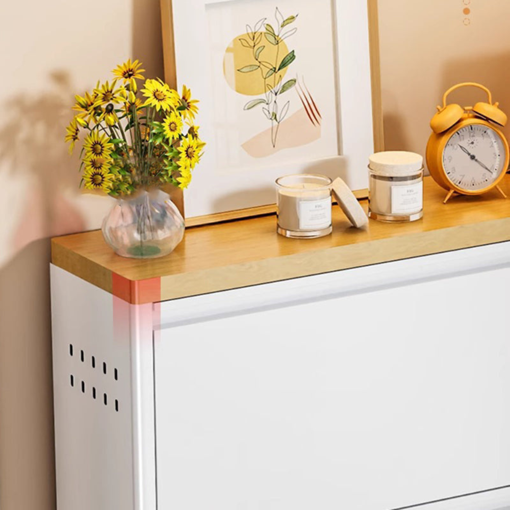Modern Minimalist Shoe Storage Cabinet - Slim Steel Organizer with Drawers Shoe Storage