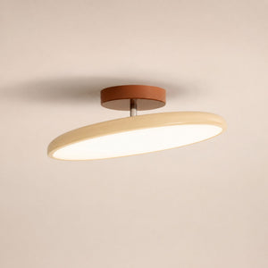 Drift Swing Arm Adjustable Ceiling Light