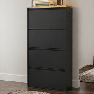 Modern Minimalist Shoe Storage Cabinet - Slim Steel Organizer with Drawers Shoe Storage