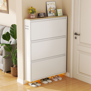 Modern Minimalist Shoe Storage Cabinet - Slim Steel Organizer with Drawers Shoe Storage