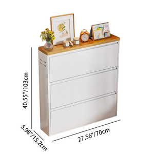 Modern Minimalist Shoe Storage Cabinet - Slim Steel Organizer with Drawers Shoe Storage