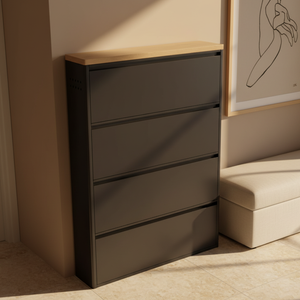 Modern Minimalist Shoe Storage Cabinet - Slim Steel Organizer with Drawers Shoe Storage