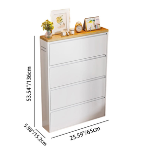 Modern Minimalist Shoe Storage Cabinet - Slim Steel Organizer with Drawers Shoe Storage