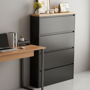 Modern Minimalist Shoe Storage Cabinet - Slim Steel Organizer with Drawers Shoe Storage