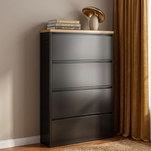 Modern Minimalist Shoe Storage Cabinet - Slim Steel Organizer with Drawers Shoe Storage