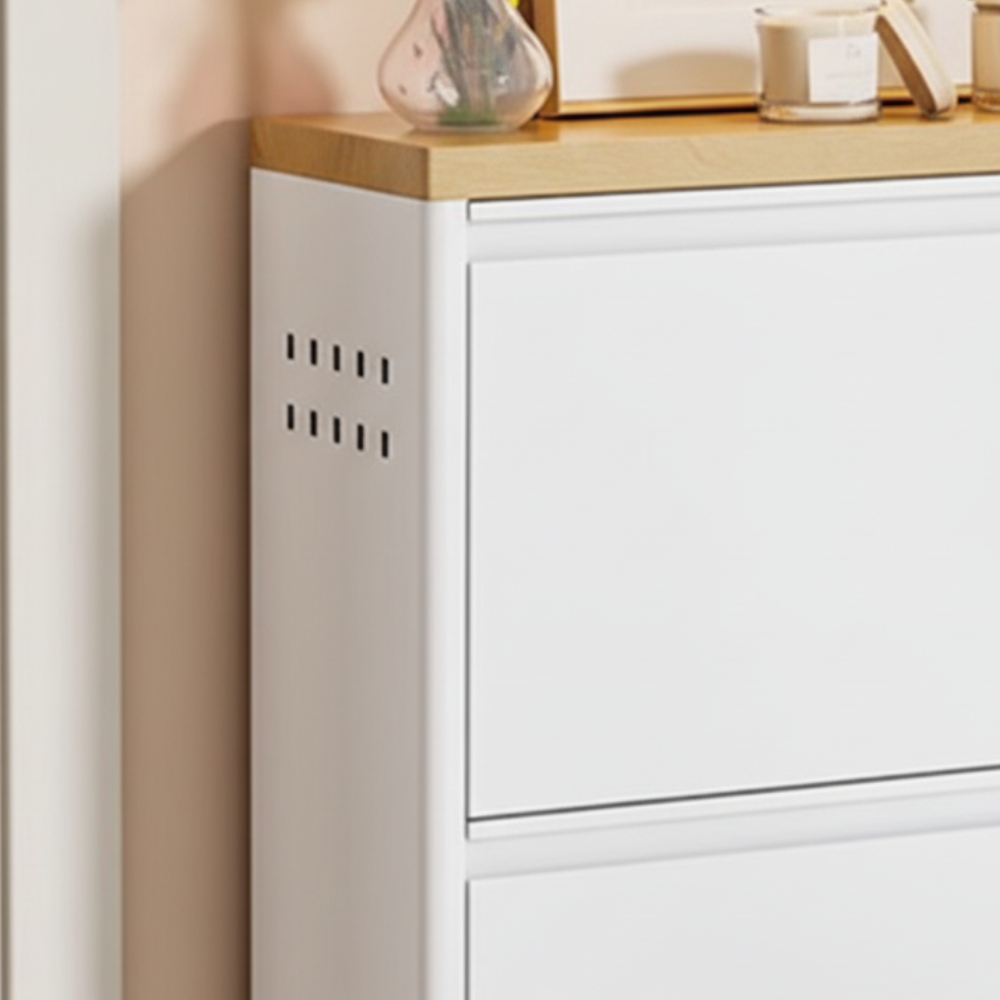 Modern Minimalist Shoe Storage Cabinet - Slim Steel Organizer with Drawers Shoe Storage
