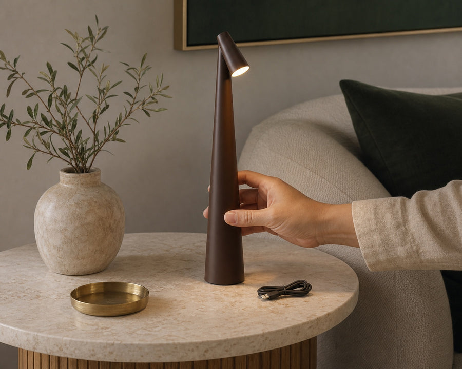 The lamp carried between rooms