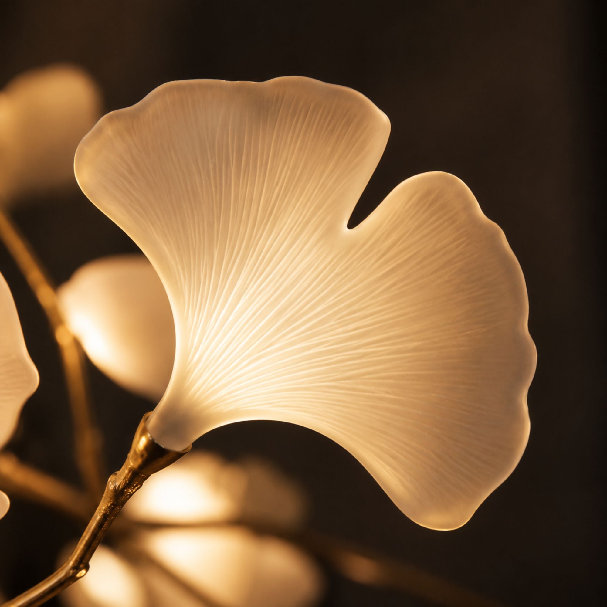 Macro of a translucent porcelain ginkgo leaf glowing warm