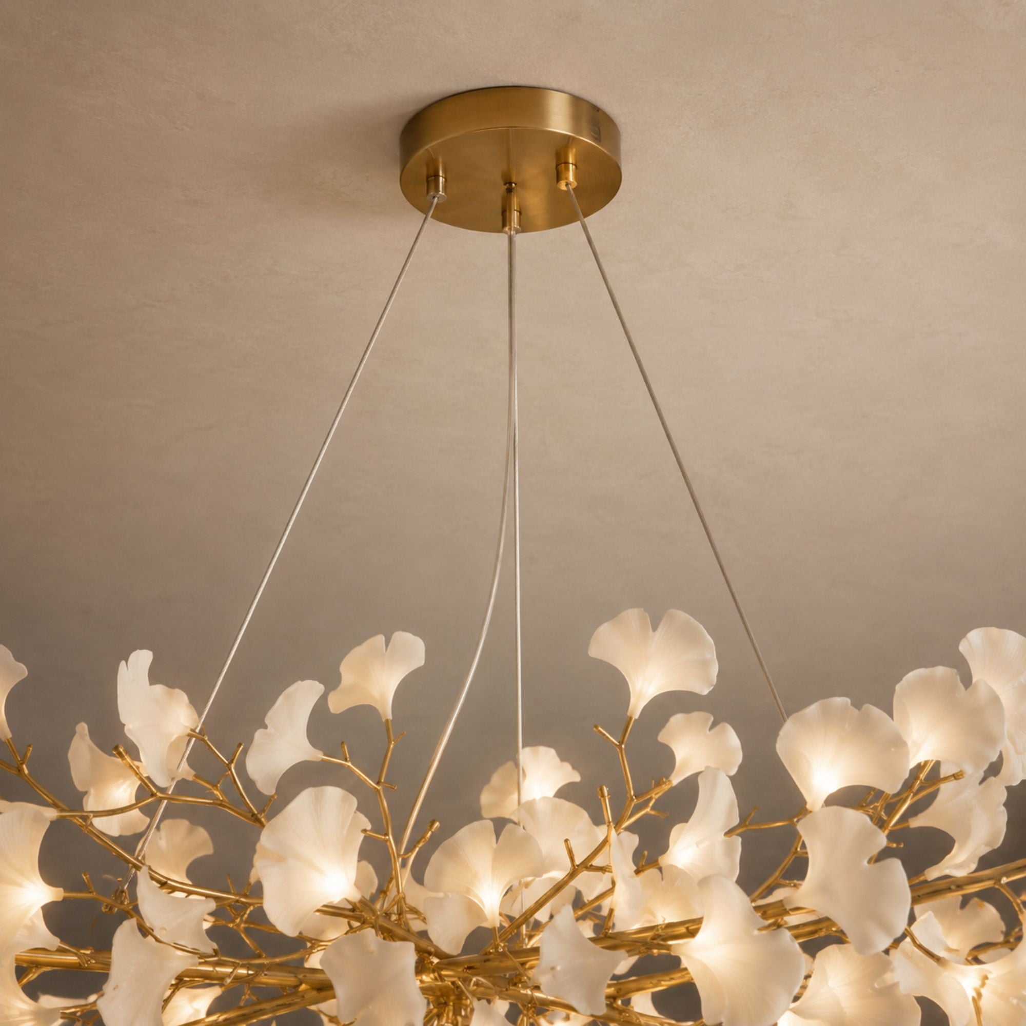 Canopy and flexible branches hang detail against a plaster ceiling