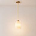 Nerys Morandi Glass & Matte Metal Dome Pendant Light
