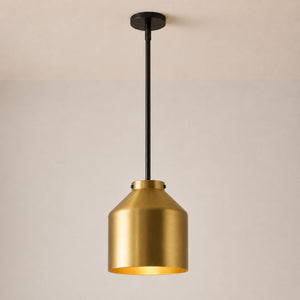 Nerys Pendant Light — 10.75in, Brass shade, Dark Bronze finish